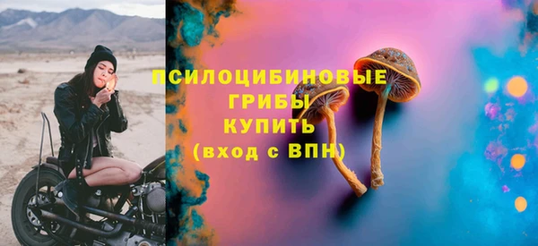 индика Горняк