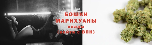 соль ск Гусиноозёрск