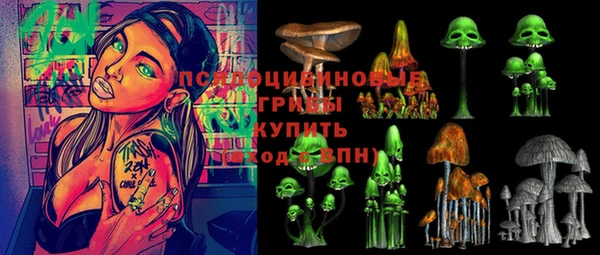 соль ск Гусиноозёрск