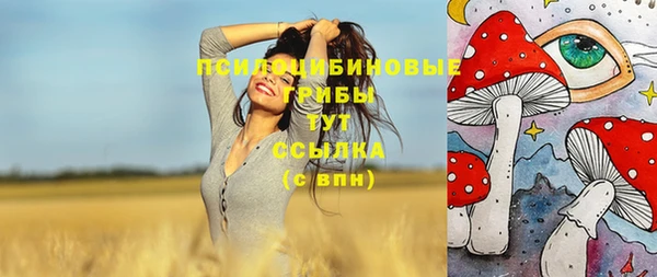 соль ск Гусиноозёрск