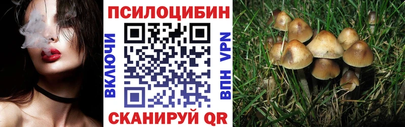 Псилоцибиновые грибы мицелий  Петухово 